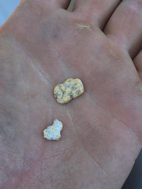 25507754_1974087406193342_1131386513258816895_n