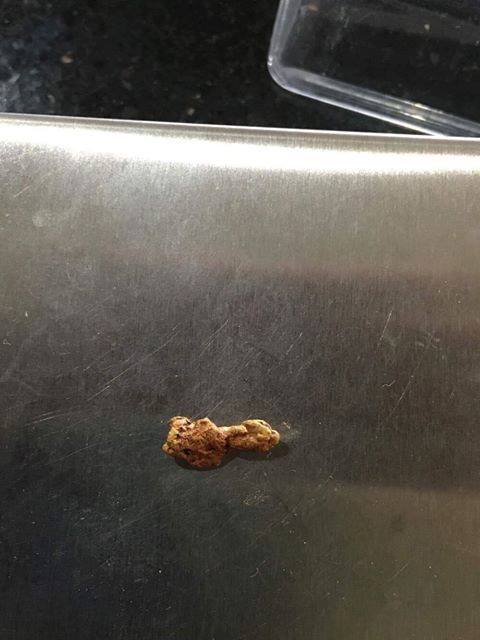 25507890_1974087502859999_8178039081145947412_n