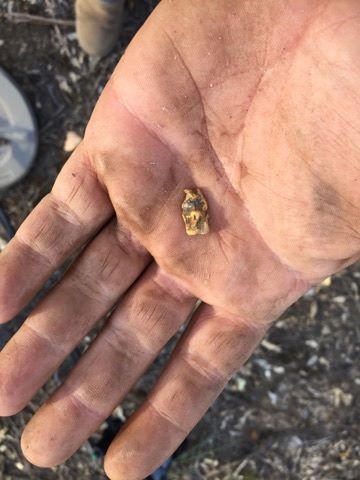 25550580_1974087192860030_2271311952886940836_n