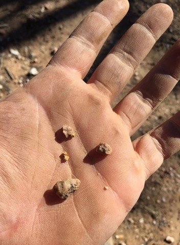 25550628_1974087359526680_1475539376126071230_n