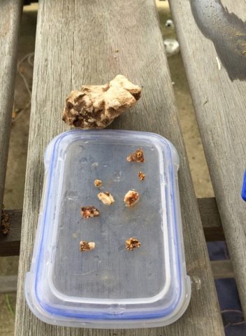 25552030_1974087462860003_7308918555448641047_n