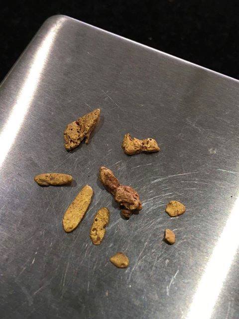 25552345_1974087299526686_1674277280993515596_n