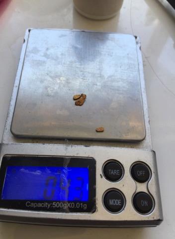 25592022_1974087189526697_5603663004673390737_n