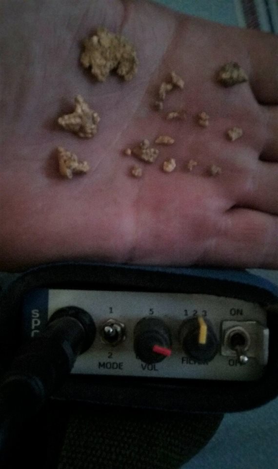 29196627_2012592619009487_2649071283404275712_n