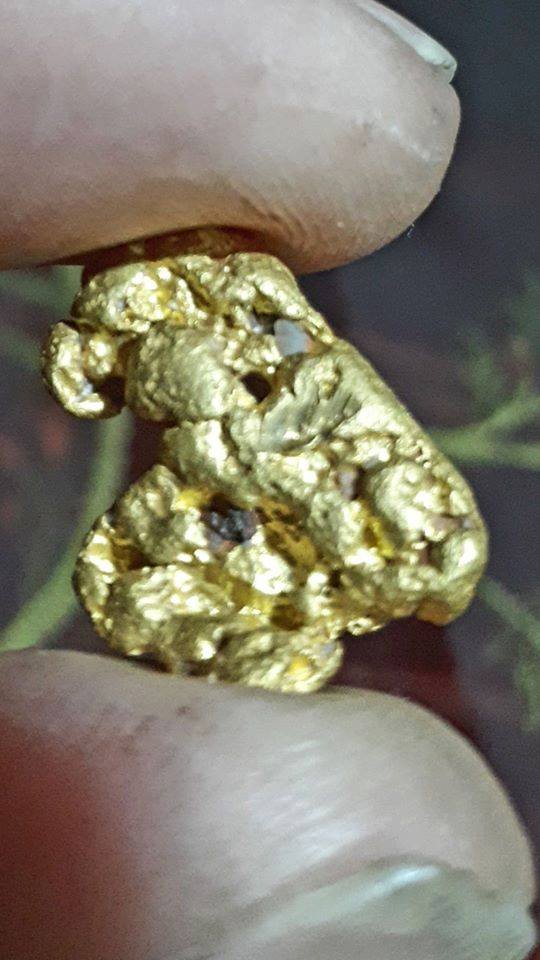 22405583_1944299352505481_7939119734395101730_n