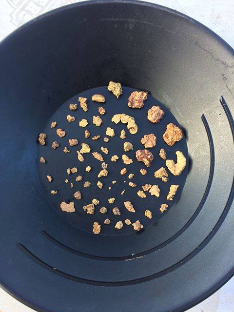 32215525_2038655486403200_6042429247807553536_n