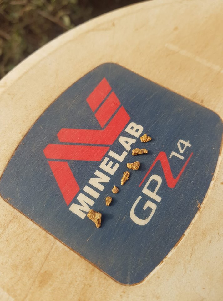 37590499_1092490880899278_1051190411017584640_n