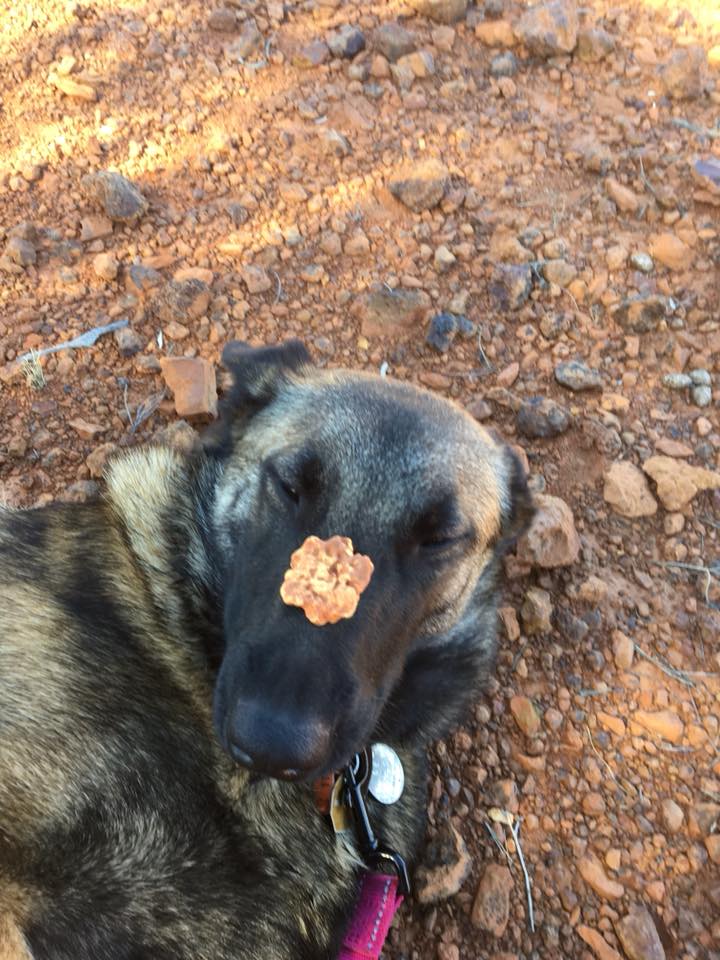 37637338_878599068998708_6740544557928153088_n