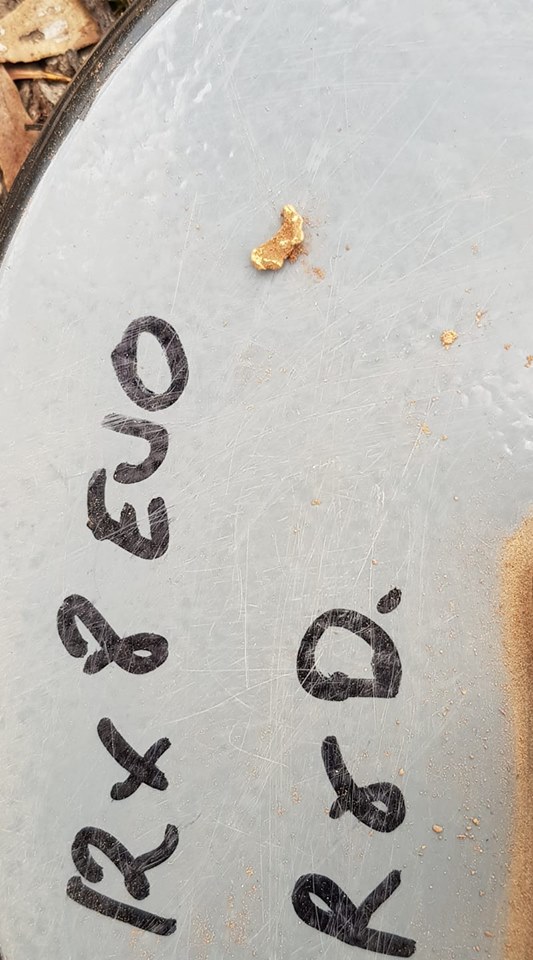 37650636_10214512085307876_3956480532560216064_n