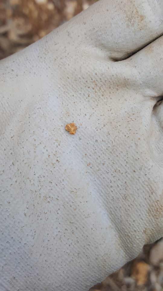 37679998_429007067593235_5456479929199755264_n