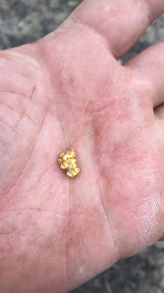 25399099_1972118266390256_5846194125600300385_n