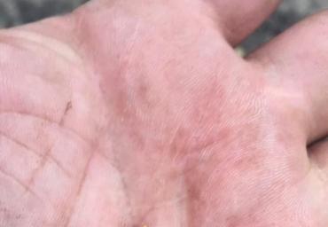 25399099_1972118266390256_5846194125600300385_n