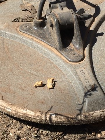 25507637_1974087196193363_4377529762391573568_n